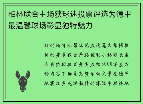 柏林联合主场获球迷投票评选为德甲最温馨球场彰显独特魅力