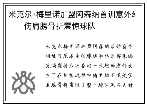 米克尔·梅里诺加盟阿森纳首训意外受伤肩膀骨折震惊球队 米克尔·梅里诺加盟阿森纳首训意外受伤肩膀骨折震惊球队